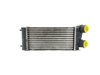 Intercooler Peugeot 307