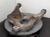 Brazo suspension trasero inferior izquierdo A1663500906 MERCEDES