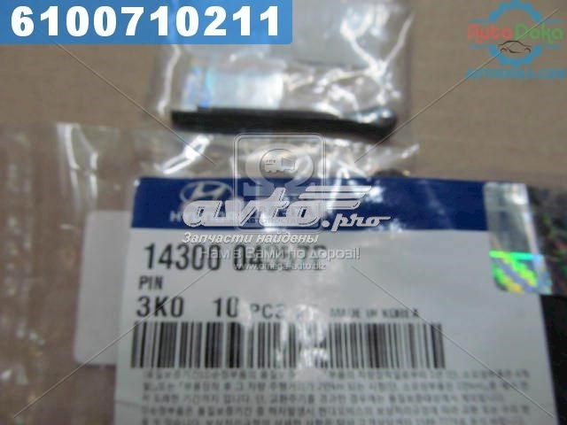 1430004357B Hyundai/Kia 