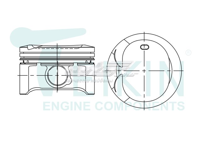 46367050 Teikin juego de piston para motor, 2da reparación (+ 0,50)