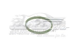 144652865R Renault (RVI) junta tórica para tubo intercooler