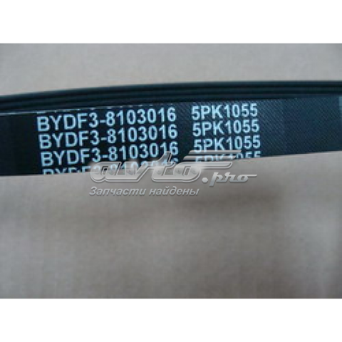 17.05.0200F3016 BYD correa trapezoidal