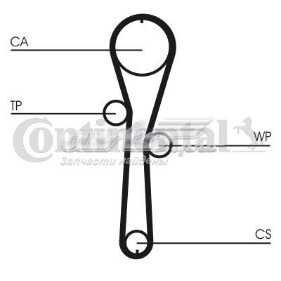 CT1045 Continental/Siemens correa distribucion