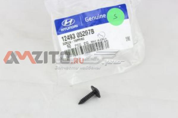 1249305207B Hyundai/Kia 