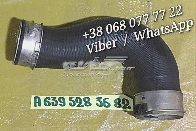 A6395283682 Mercedes tubo flexible de aire de sobrealimentación derecho