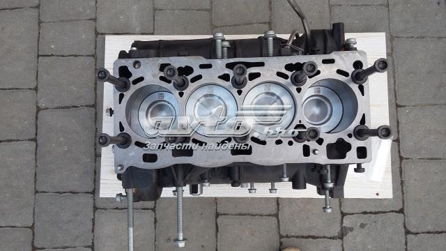  Bloque motor para Skoda Kodiaq 1 