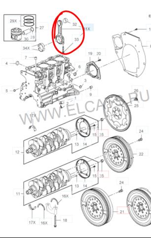 55568466 Opel biela