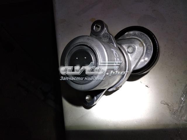 252812A600 Hyundai/Kia tensor de correa, correa poli v