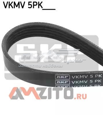 VKMV5PK1546 SKF correa trapezoidal