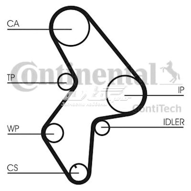 CT1061K1 Continental/Siemens kit correa de distribución
