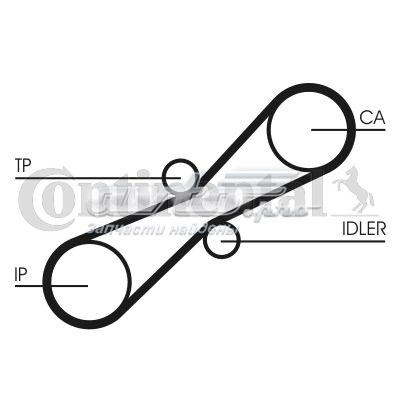 CT791K1 Continental/Siemens kit correa de distribución