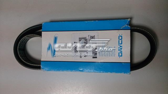 5PK847 Dayco correa trapezoidal