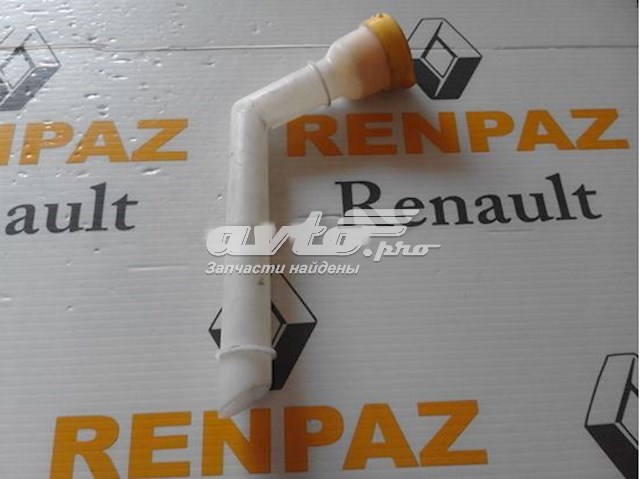 289150003R Renault (RVI) 