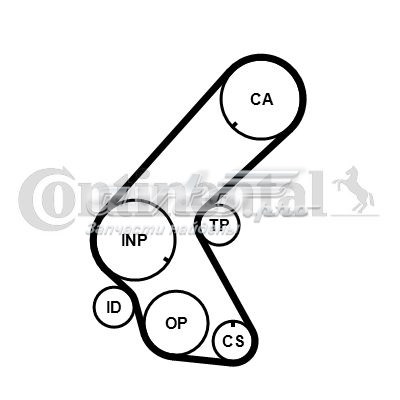 CT1014K2 Continental/Siemens kit correa de distribución