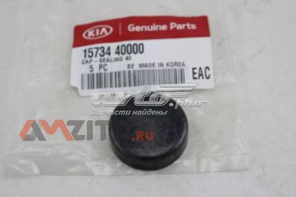 1573440000 Hyundai/Kia tapón de culata