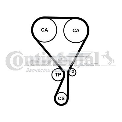 CT1228 Continental/Siemens correa distribucion