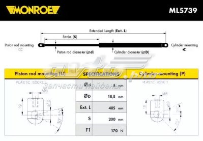 430719080500 Magneti Marelli muelle neumático, capó de motor