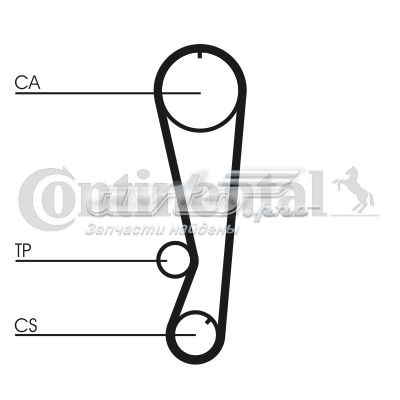 CT827K1 Continental/Siemens kit correa de distribución