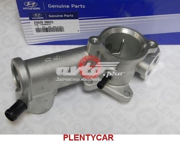 2562038025 Hyundai/Kia caja del termostato