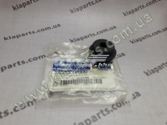  Soporte de montaje, radiador, superior para Hyundai Accent 4 