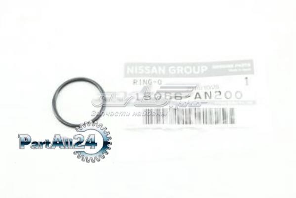 15066AN200 Nissan 