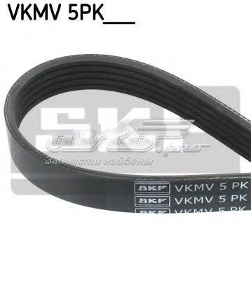 VKMV5PK1125 SKF correa trapezoidal