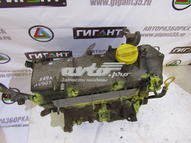 6001549086 Renault (RVI) motor completo