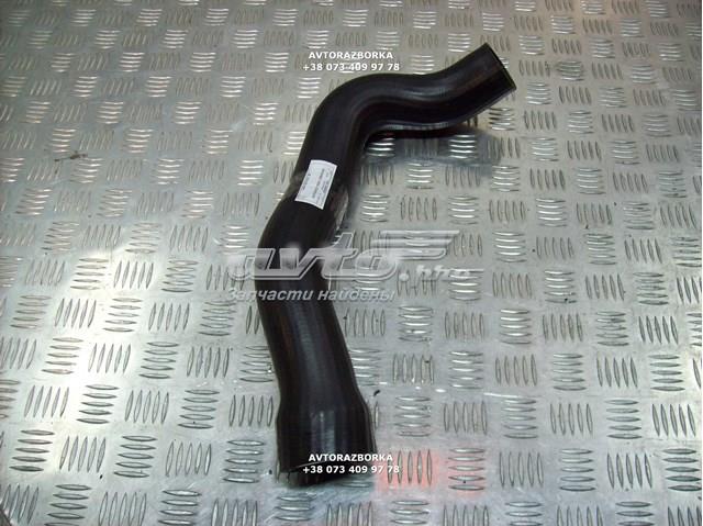 A9015281882 Mercedes tubo flexible de aire de sobrealimentación derecho