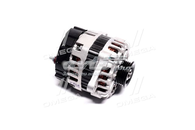 BN96652100 Mando alternador