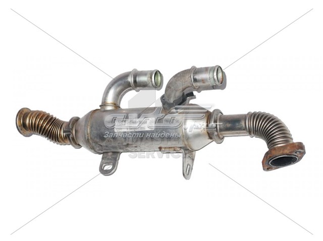 9640341480 Fiat/Alfa/Lancia manguera radiador egr, suministro