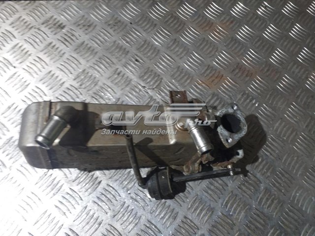 284162F100 Hyundai/Kia enfriador egr de recirculación de gases de escape